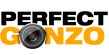 Perfect Gonzo